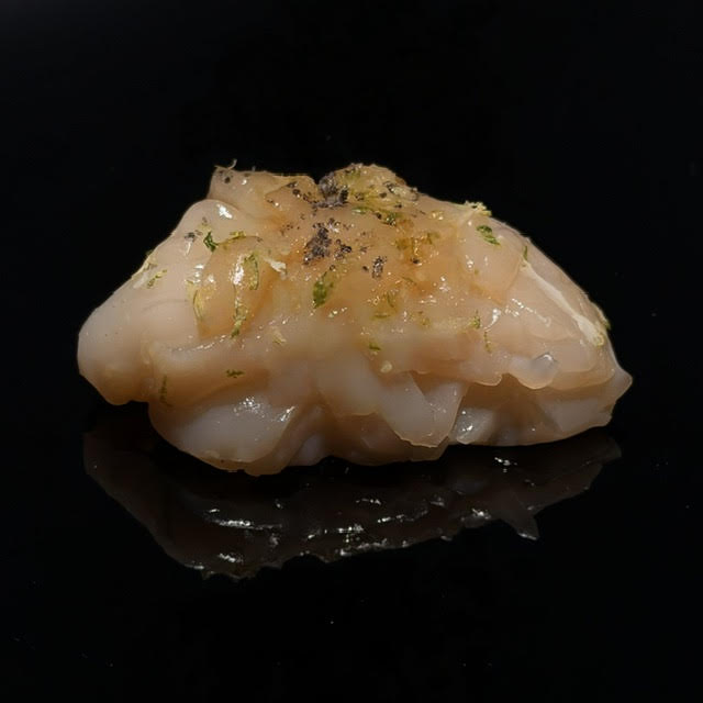 Hokkaido Scallop